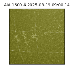 saia - 2025-08-19T09:00:14.125000