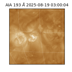 saia - 2025-08-19T03:00:04.843000