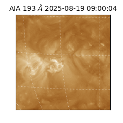 saia - 2025-08-19T09:00:04.843000