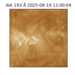 saia - 2025-08-19T11:00:04.842000