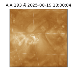 saia - 2025-08-19T13:00:04.842000