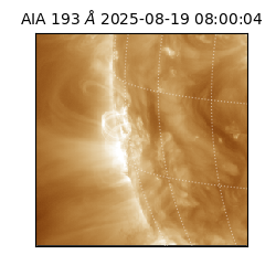 saia - 2025-08-19T08:00:04.843000