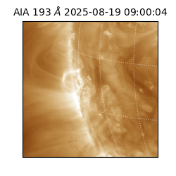 saia - 2025-08-19T09:00:04.843000
