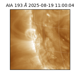 saia - 2025-08-19T11:00:04.842000