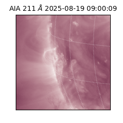 saia - 2025-08-19T09:00:09.626000