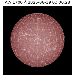 saia - 2025-08-19T03:00:28.717000