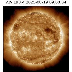saia - 2025-08-19T09:00:04.843000