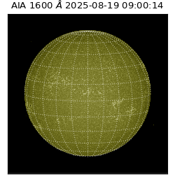 saia - 2025-08-19T09:00:14.125000