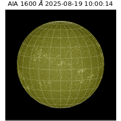 saia - 2025-08-19T10:00:14.130000