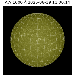 saia - 2025-08-19T11:00:14.125000