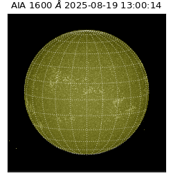 saia - 2025-08-19T13:00:14.126000