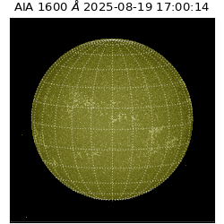 saia - 2025-08-19T17:00:14.126000