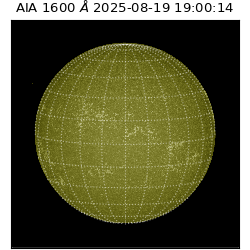 saia - 2025-08-19T19:00:14.129000