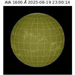 saia - 2025-08-19T23:00:14.126000