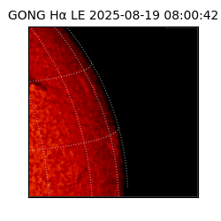 gong - 2025-08-19T08:00:42