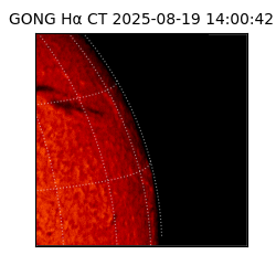 gong - 2025-08-19T14:00:42