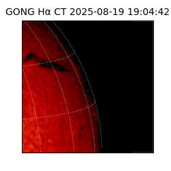 gong - 2025-08-19T19:04:42