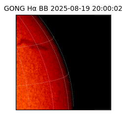 gong - 2025-08-19T20:00:02