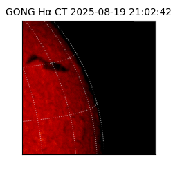gong - 2025-08-19T21:02:42