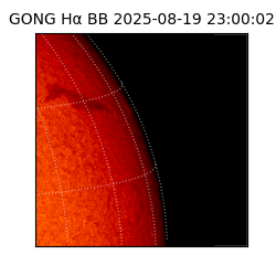 gong - 2025-08-19T23:00:02