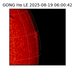gong - 2025-08-19T06:00:42