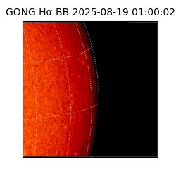 gong - 2025-08-19T01:00:02