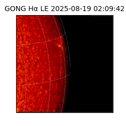gong - 2025-08-19T02:09:42