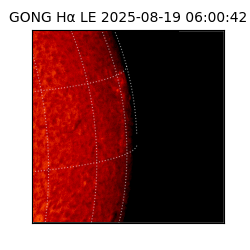gong - 2025-08-19T06:00:42