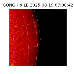 gong - 2025-08-19T07:00:42