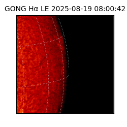 gong - 2025-08-19T08:00:42