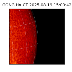 gong - 2025-08-19T15:00:42