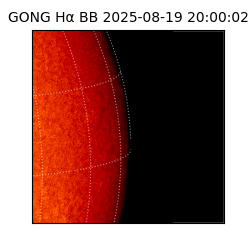 gong - 2025-08-19T20:00:02