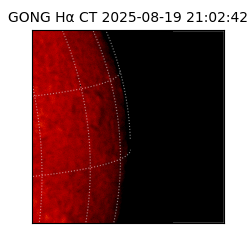 gong - 2025-08-19T21:02:42