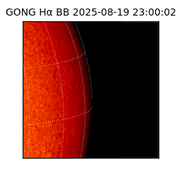 gong - 2025-08-19T23:00:02