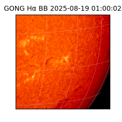 gong - 2025-08-19T01:00:02