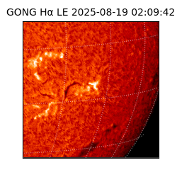 gong - 2025-08-19T02:09:42