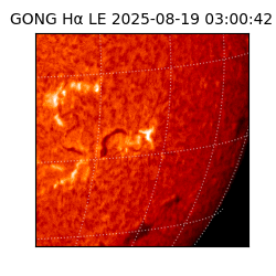 gong - 2025-08-19T03:00:42