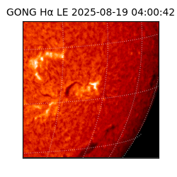 gong - 2025-08-19T04:00:42