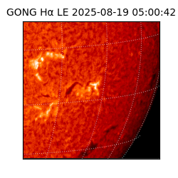 gong - 2025-08-19T05:00:42