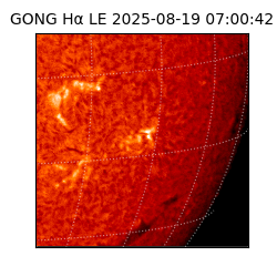 gong - 2025-08-19T07:00:42