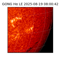 gong - 2025-08-19T08:00:42