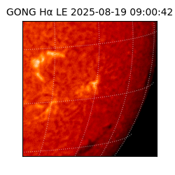 gong - 2025-08-19T09:00:42