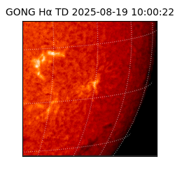 gong - 2025-08-19T10:00:22