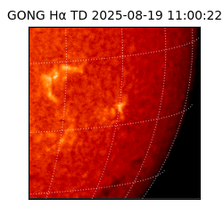 gong - 2025-08-19T11:00:22