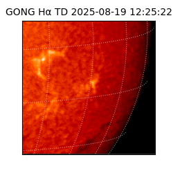 gong - 2025-08-19T12:25:22