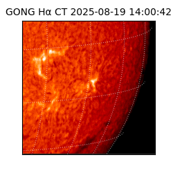 gong - 2025-08-19T14:00:42