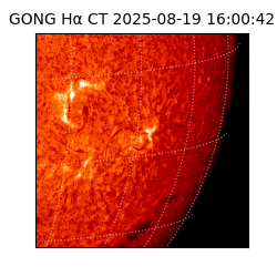 gong - 2025-08-19T16:00:42