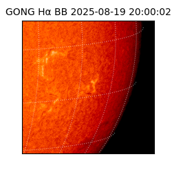 gong - 2025-08-19T20:00:02
