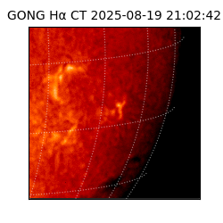 gong - 2025-08-19T21:02:42