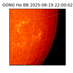 gong - 2025-08-19T22:00:02